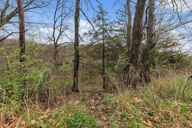 36480 Bouska Rd, Home with 0 bedrooms, 0 bathrooms and null parking in Prairie Du Chien WI | Image 47
