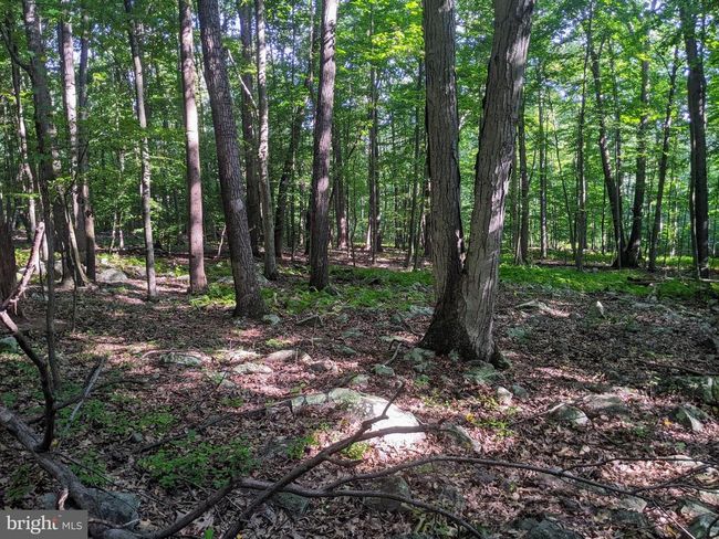 21 Hawthorne Cir, Home with 0 bedrooms, 0 bathrooms and null parking in ELVERSON PA | Image 17