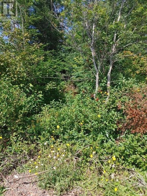 11 Point Leamington Highway, Northern Arm, NL, A0H1E0 | Card Image