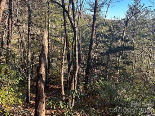 Lot 20 Nicklaus Ln, Lake Lure, NC, 28746 | Card Image