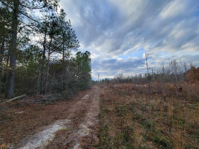 2757 Us Highway 1 N, Home with 0 bedrooms, 0 bathrooms and null parking in swainsboro GA | Image 5
