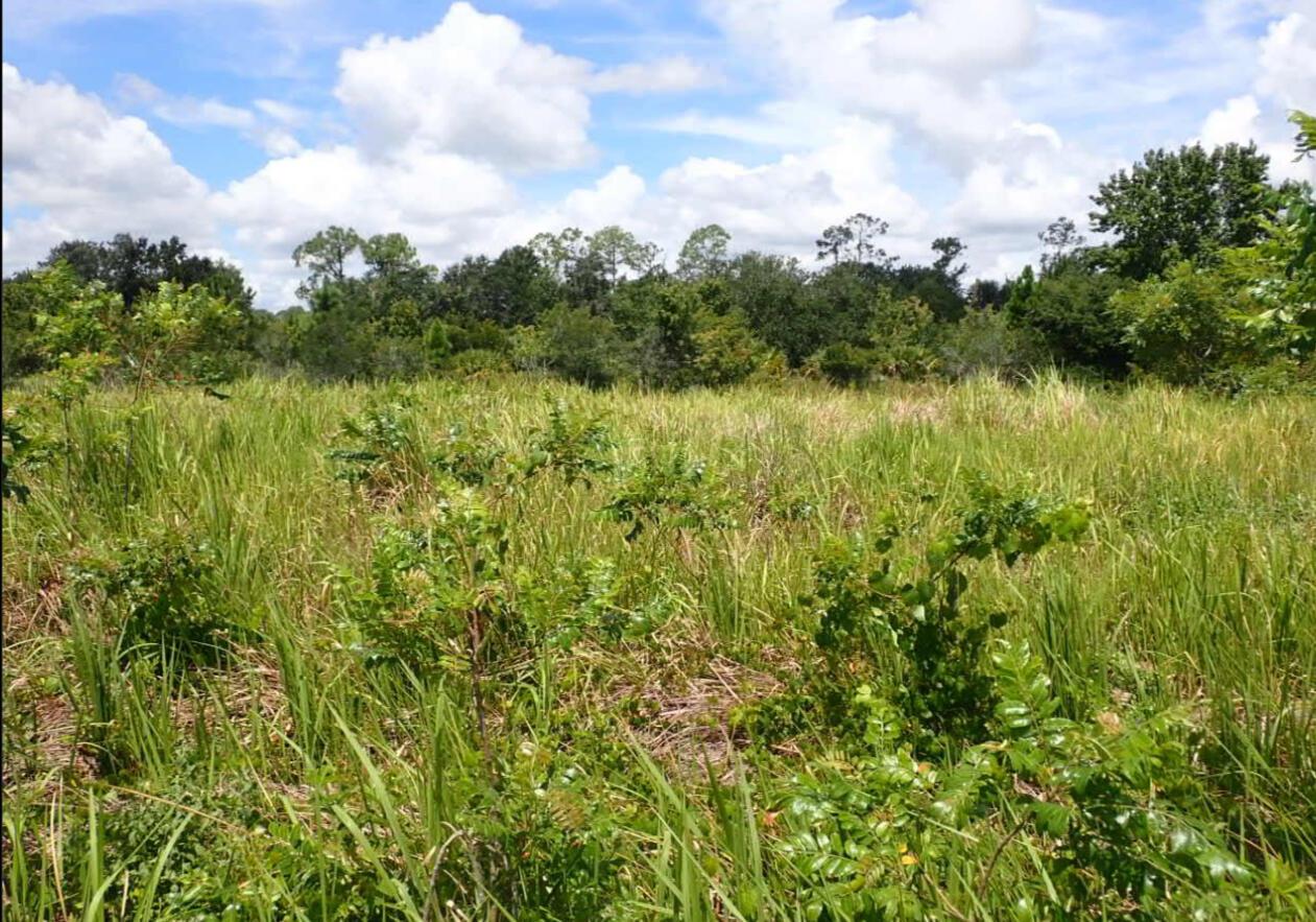 Land in Kissimmee 5