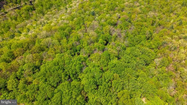 326 Preacher Ln, House other with 1 bedrooms, 1 bathrooms and null parking in Great Cacapon WV | Image 81