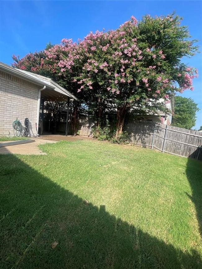 View of yard | Image 25