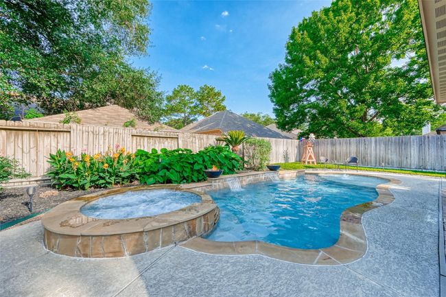 Heated Pool/Spa with 2 fire bowl & sun shelf. | Image 48
