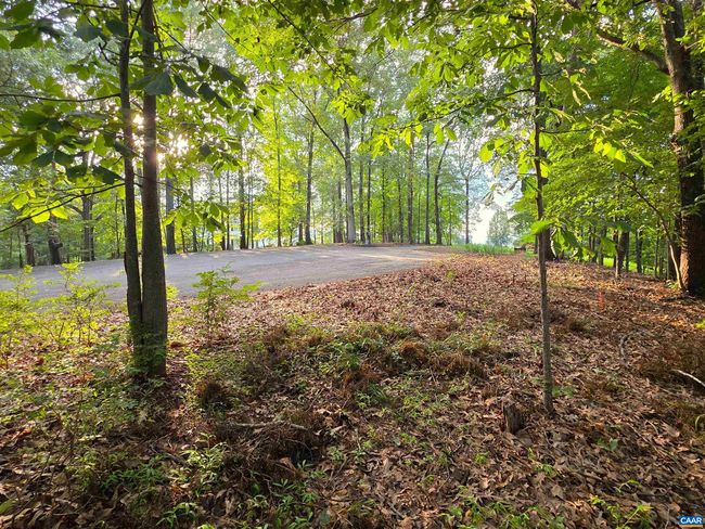 22 Mountain Laurel Rdg, Home with 0 bedrooms, 0 bathrooms and null parking in CHARLOTTESVILLE VA | Image 7