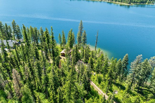 Aerial view of property with forested area and Swan Lake | Image 47