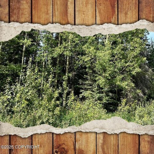 34191 Needles Ave, Soldotna, AK, 99669 | Card Image