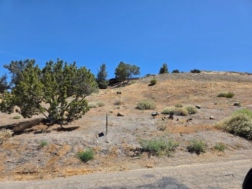 532 Piute St, Bodfish, CA, 93205-9688 | Card Image