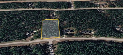47 Brahman Ln, New Waverly, TX, 77358 | Card Image