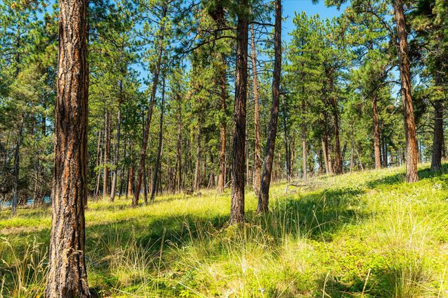 44625 Wild Horse Island Ln, House other with 2 bedrooms, 1 bathrooms and null parking in Dayton MT | Image 27