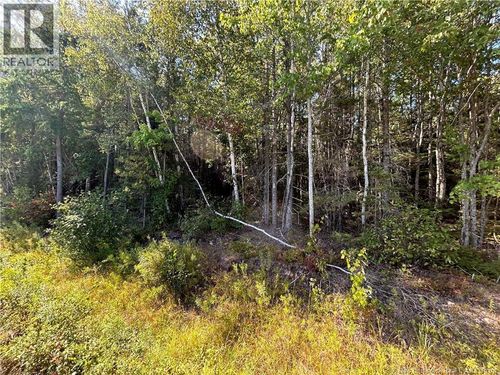 1 Upper Midland Rd, Norton, NB, E5T | Card Image