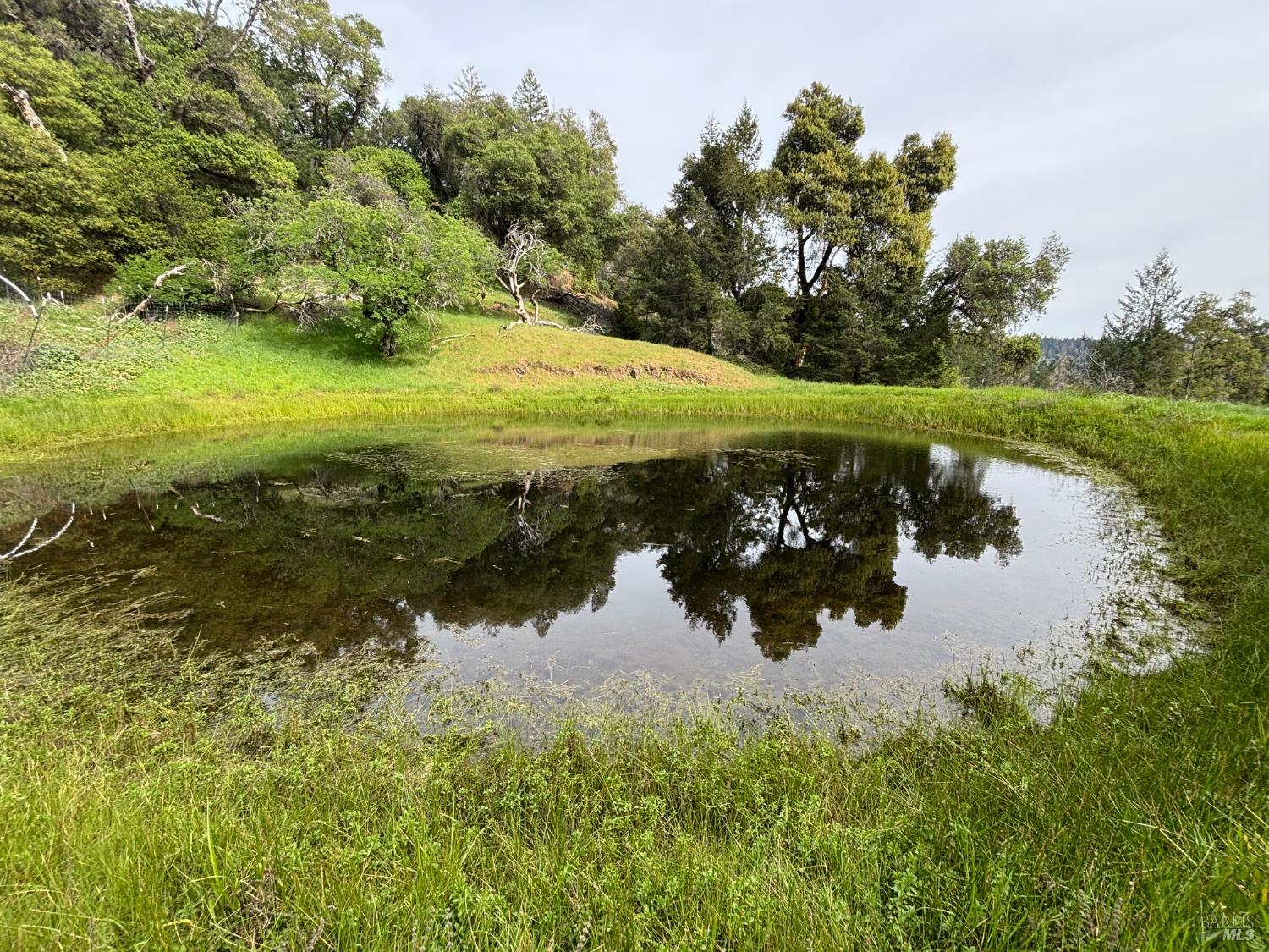Land in Redwood Valley 4