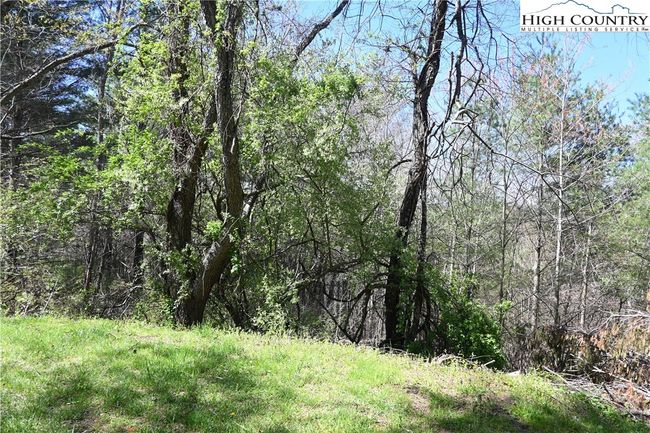 15 River Bend Hills Rd, Home with 0 bedrooms, 0 bathrooms and null parking in Crumpler NC | Image 6
