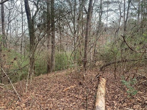 0 Griffin Cir, Westville, FL, 32464 | Card Image