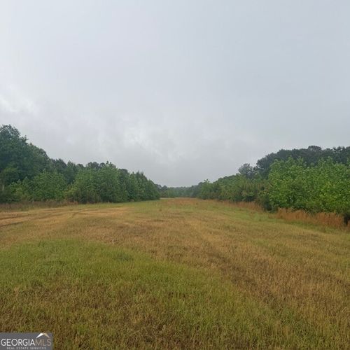 145 +/- ACRES George Smith Rd, Talbotton, GA, 31827-4203 | Card Image