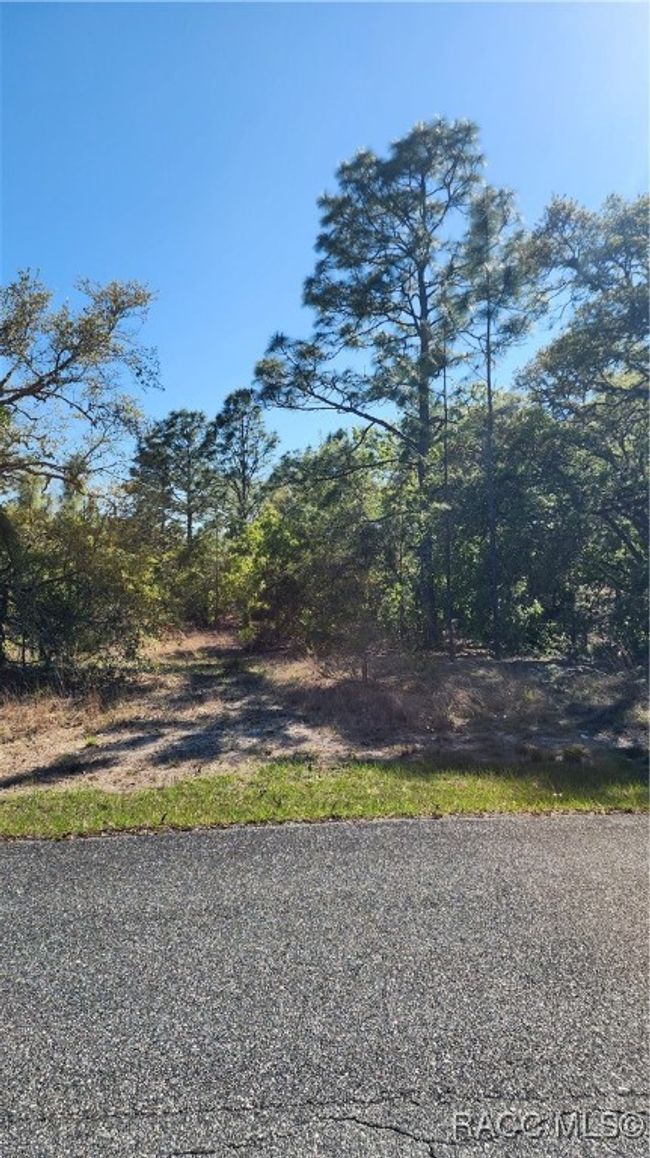 2872 W Lambert Dr, Home with 0 bedrooms, 0 bathrooms and null parking in DUNNELLON FL | Image 8