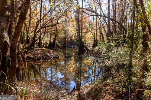 tract-4-0 Twin Forks Ln, Statesboro, GA, 30458 | Card Image