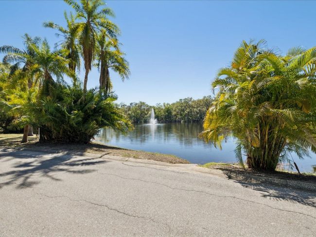 2644 2 Nd Ct, Townhouse with 2 bedrooms, 3 bathrooms and null parking in PALM HARBOR FL | Image 50