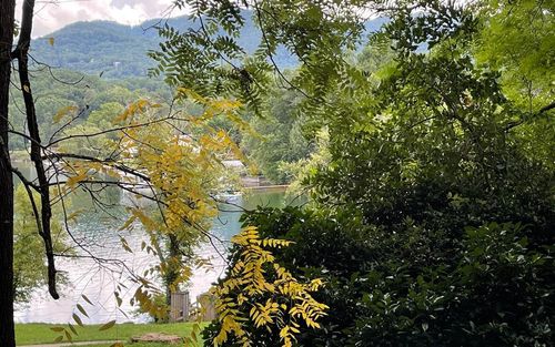 Lot 6A Kilpatrick Point Trce, Hayesville, NC, 28904 | Card Image