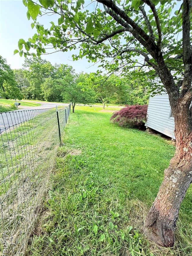 View of yard | Image 42