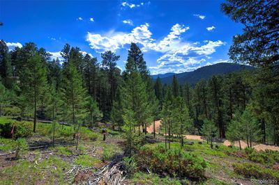 6875 Lynx Lair Road, Home with 0 bedrooms, 0 bathrooms and null parking in Evergreen CO | Image 2