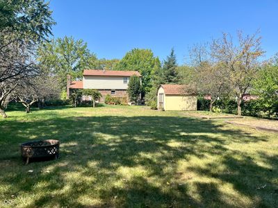 Huge Backyard | Image 3