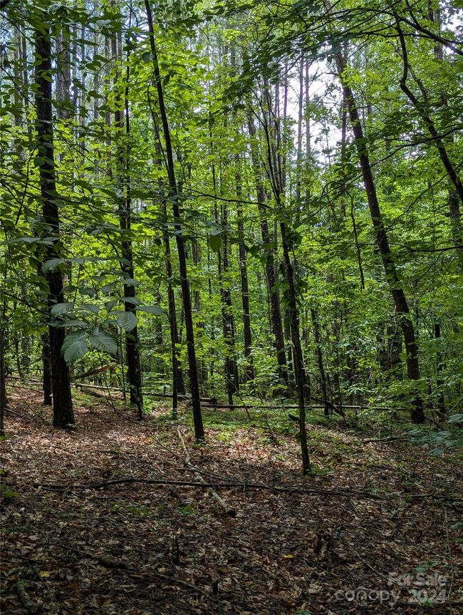 17 - 00 Sunset Dr, Home with 0 bedrooms, 0 bathrooms and null parking in Mill Spring NC | Image 15