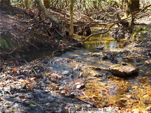 TBD Flagstone Way, Lowgap, NC, 27024 | Card Image