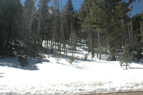  Back Basin Rd, Angel Fire, NM, 87710-8016 | Card Image