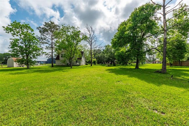 beautiful mature trees | Image 39
