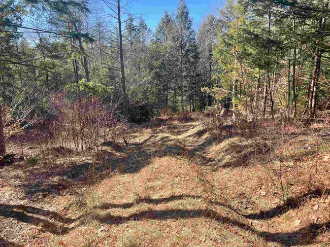 63 New Boston Rd, Home with 0 bedrooms, 0 bathrooms and null parking in Francestown NH | Image 33