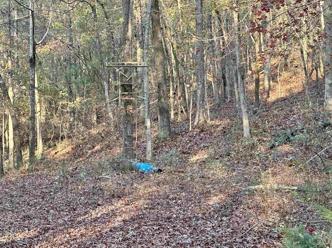8997 Highway 9, House other with 2 bedrooms, 2 bathrooms and null parking in Mountain View AR | Image 42