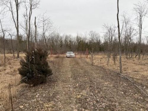 700 (OTA) N Waldron Road, Crystal, MI, 48818 | Card Image