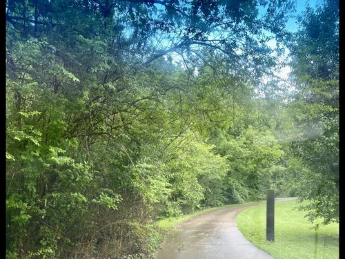 8552 Cub Creek Rd, Nashville, TN, 37209-6005 | Card Image