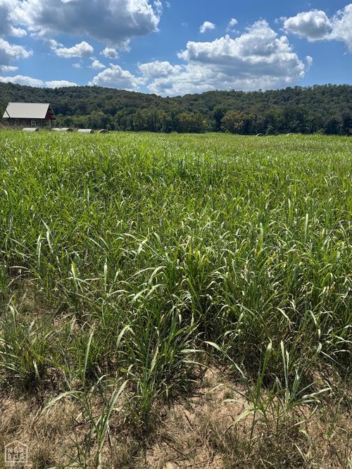 39 White River Run, Guion, AR, 72540 | Card Image