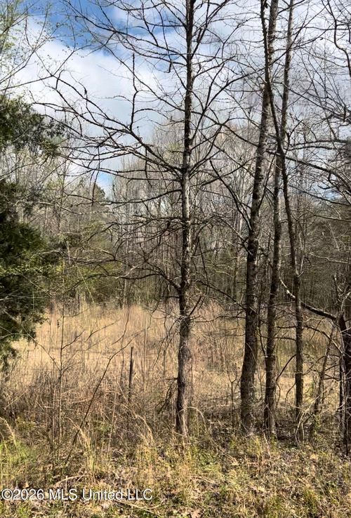 Lot 4 Matthews Drive, Byhalia, MS, 38611 | Card Image