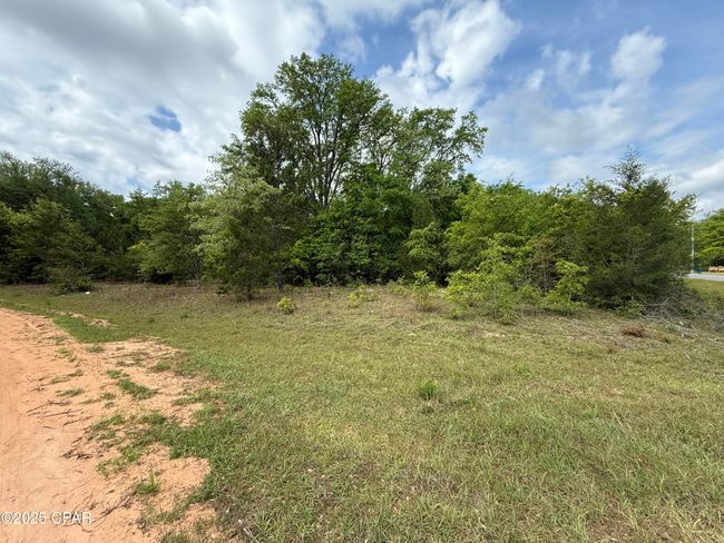 0 Coronado Ave, Home with 0 bedrooms, 0 bathrooms and null parking in Alford FL | Image 6