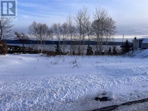 36 Maple St, Springdale, NL, A0J | Card Image