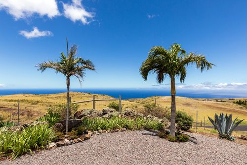 59-351 Lehiwa Pl, KAMUELA, HI, 96743-8535 | Card Image