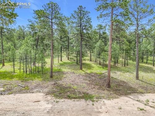 14671 Allen Ranch Rd, Colorado Springs, CO, 80908 | Card Image
