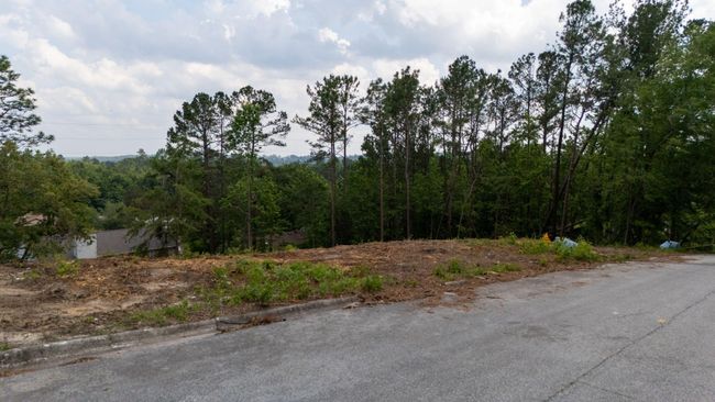 40-web-or-mls-DJI_20250508155307_0271_D | Image 4