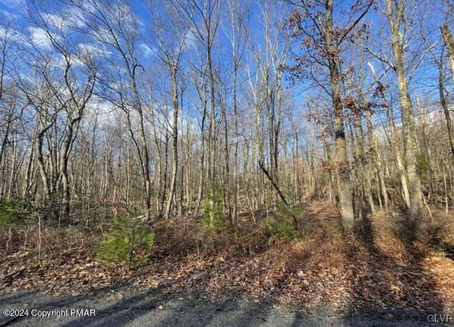 442 Laurel Dr, House other with 0 bedrooms, 0 bathrooms and null parking in Jim Thorpe PA | Image 6