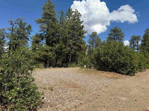 93 Careys Court, Pagosa Springs, CO, 81147 | Card Image