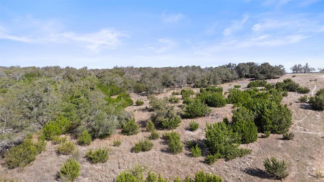 View of local wilderness with a wooded view | Image 18