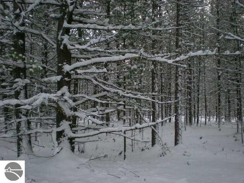 LOT 9 S Fleetwood Ct, Empire, MI, 49630 | Card Image