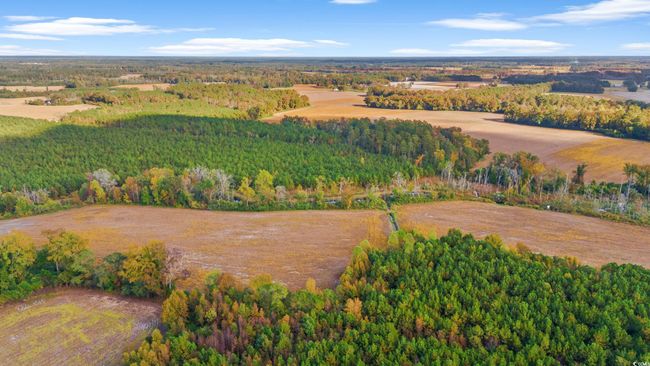 17 Arnette Rd., Home with 0 bedrooms, 0 bathrooms and null parking in Dillon SC | Image 18