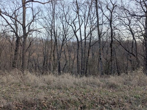 TBD Pyramid Ln, Eureka Springs, AR, 72631 | Card Image
