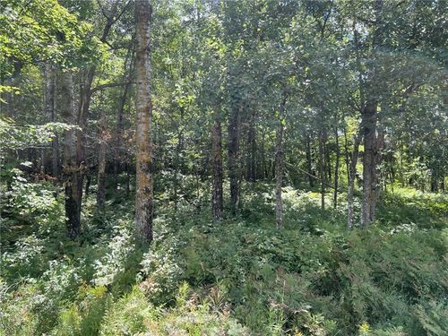 XXXX Tollander Rd, DANIELS, WI, 54872 | Card Image