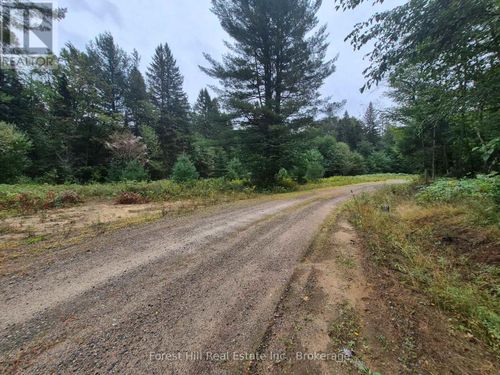 335 Woodland Drive, McMurrich/Monteith (McMurrich), ON, P0P1B0 | Card Image